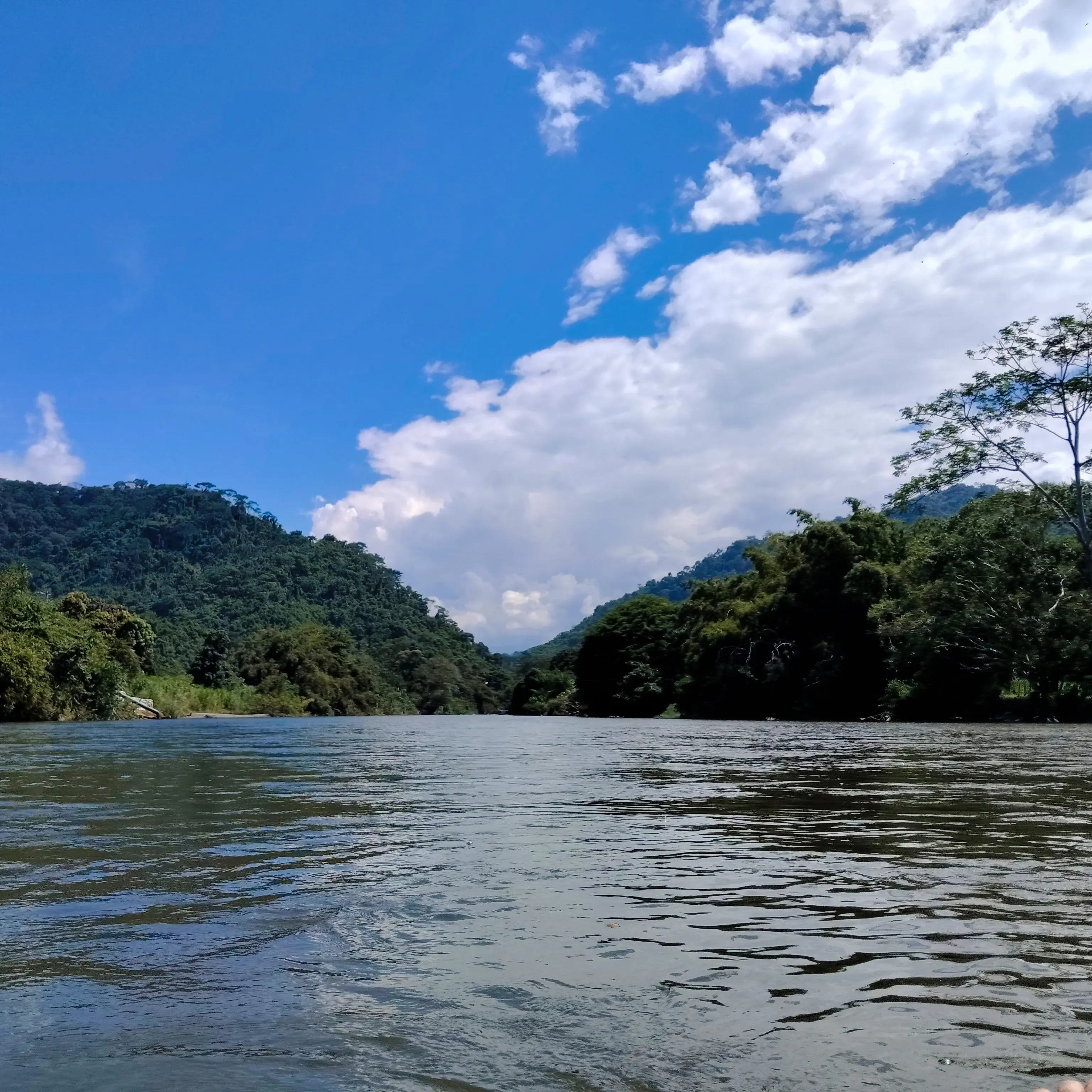 Buritaca